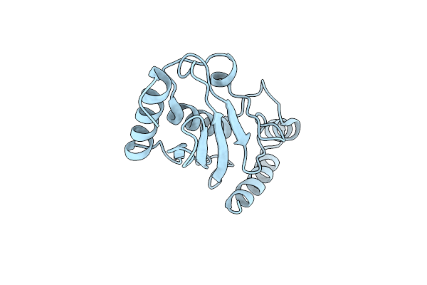 6CYO image