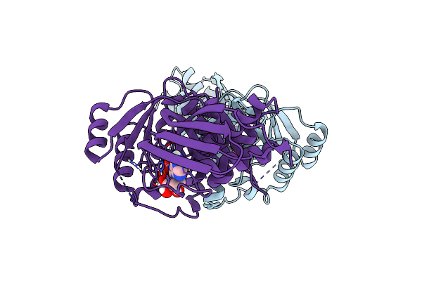 6CYZ image