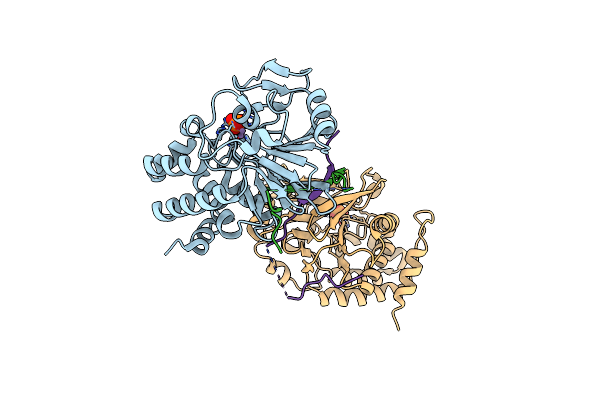 6CZO image