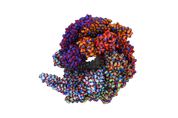 6D00 image