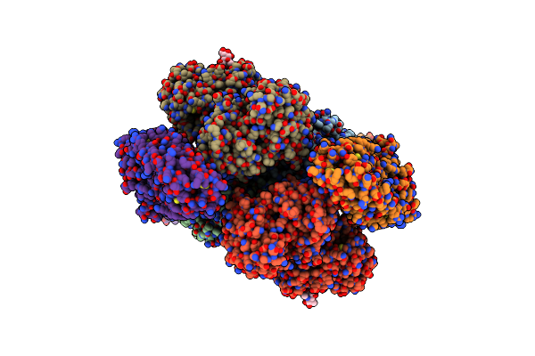 6D04 image