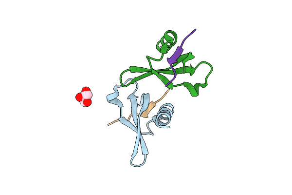 6D07 image