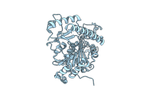 6D0A image