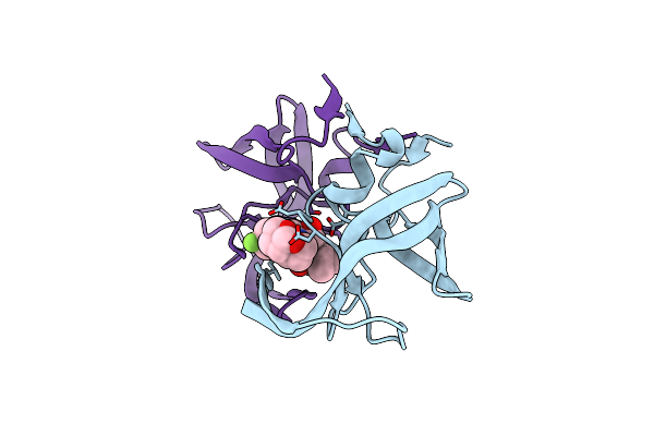 6D0D image