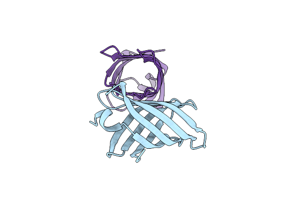 6D0T image