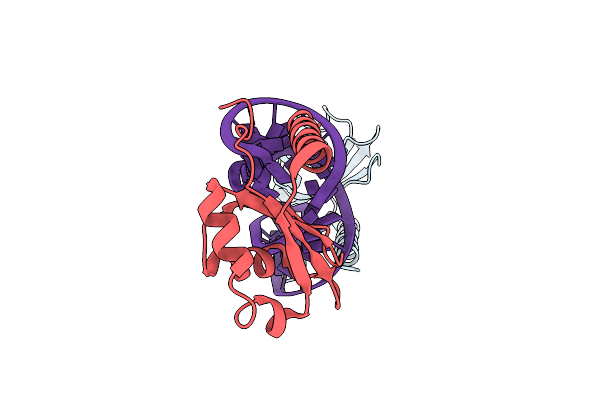 6D12 image