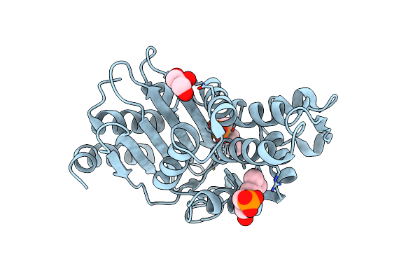 6D15 image