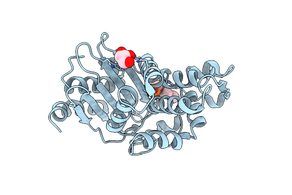 6D16 image