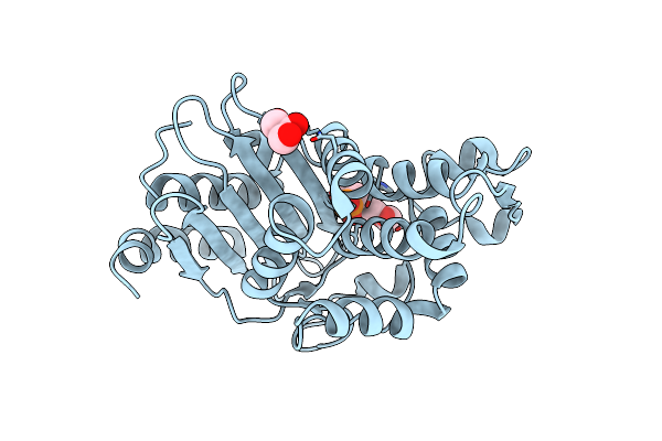 6D17 image