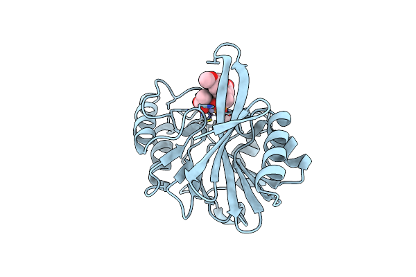 6D1B image