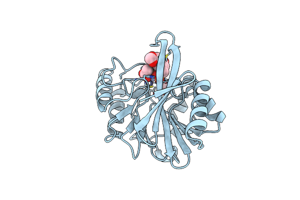 6D1C image