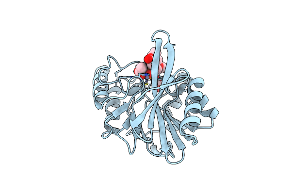 6D1E image