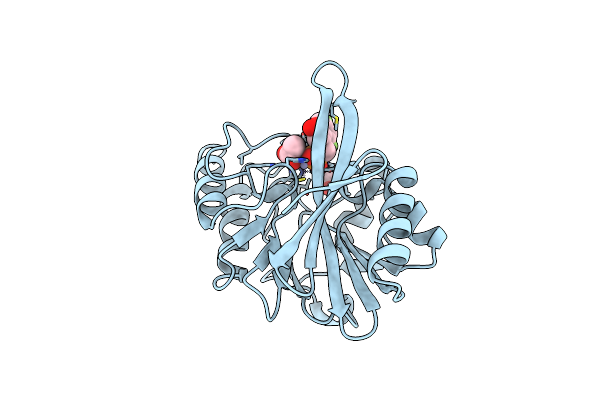 6D1F image