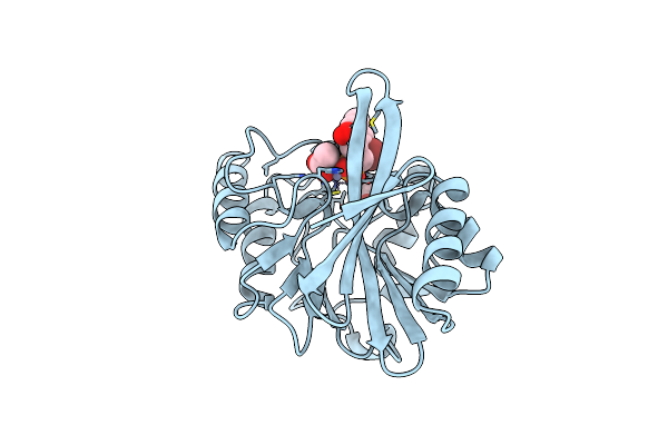 6D1G image