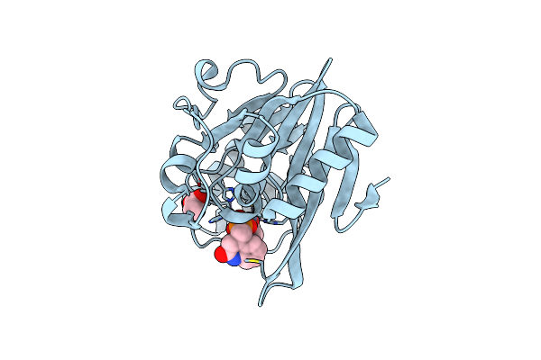 6D1H image
