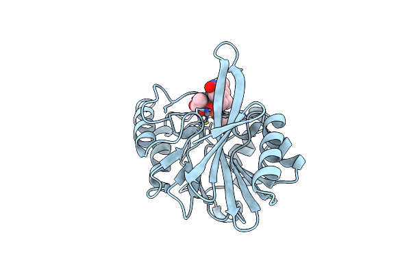 6D1J image