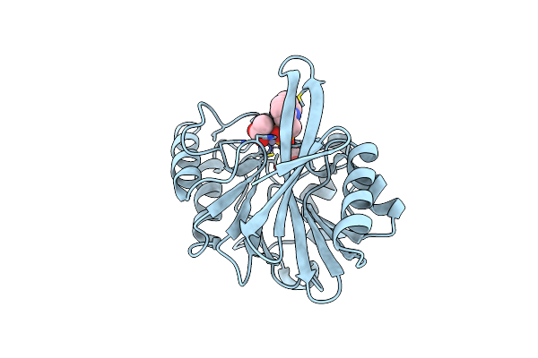 6D1K image