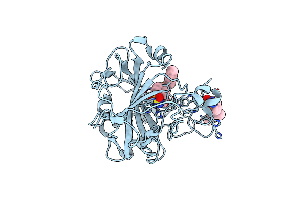 6D1L image