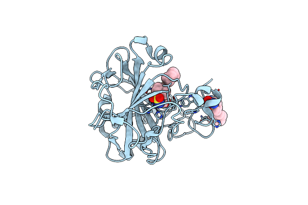 6D1M image