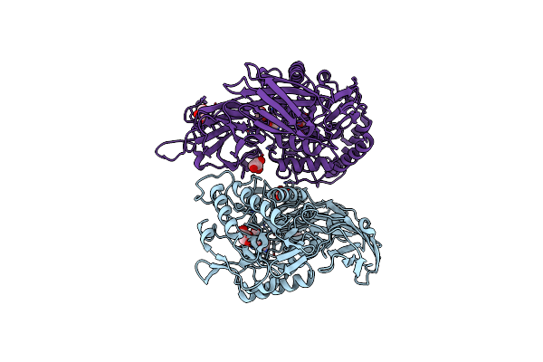 6D1N image
