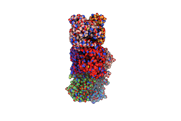 6D1O image