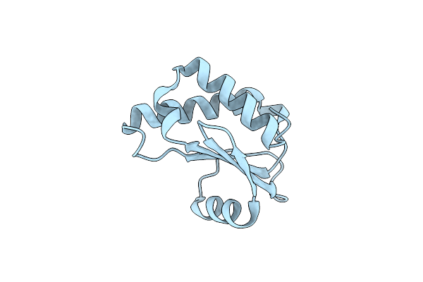 6D1R image