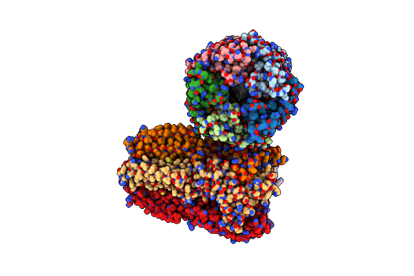 6D1S image