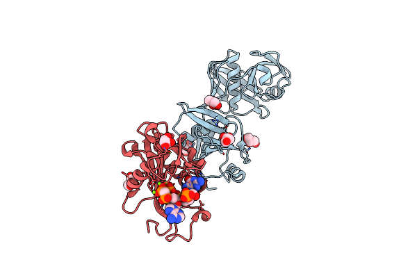 6D1V image