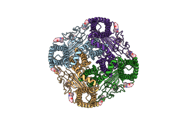 6D1W image