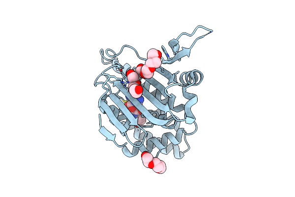 6D1X image