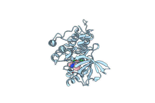 6D1Y image