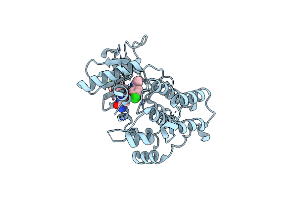 6D1Z image