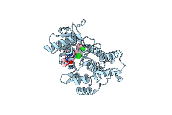 6D20 image
