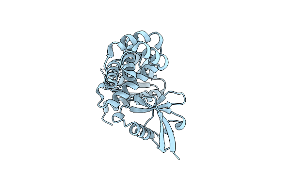 6D21 image
