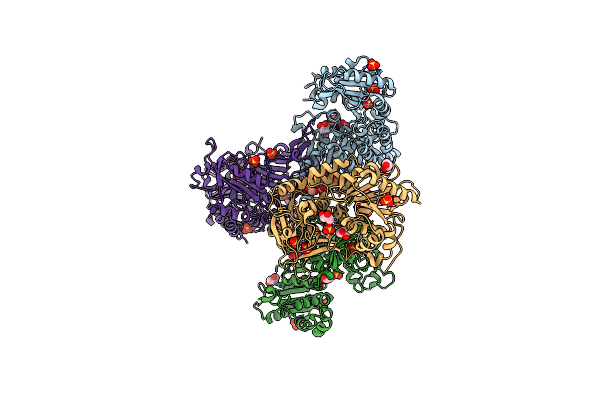 6D23 image