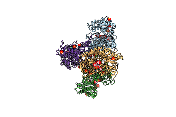 6D24 image