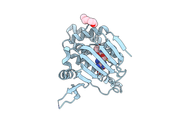 6D28 image
