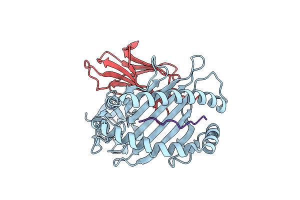 6D29 image