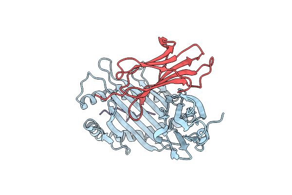 6D2B image