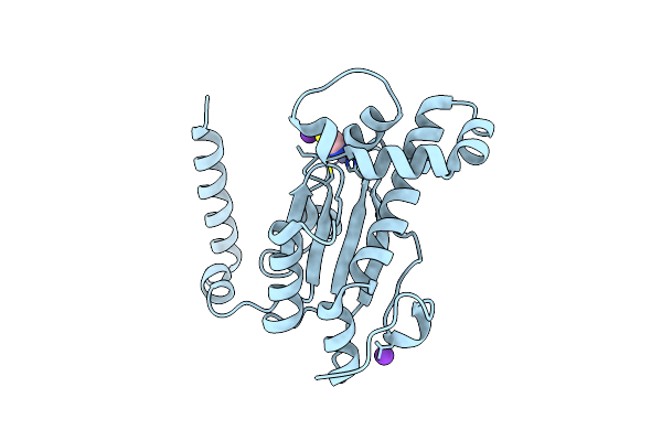 6D2J image