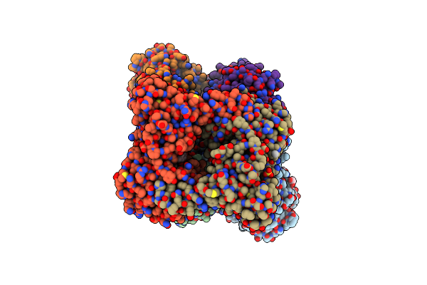 6D2L image