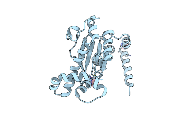 6D2M image