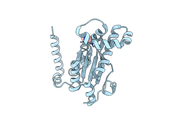 6D2O image