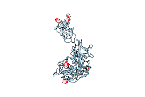 6D2Y image