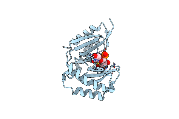 6D2Z image