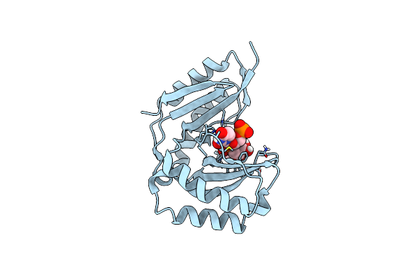6D30 image