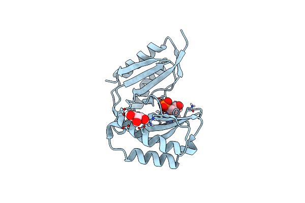 6D31 image