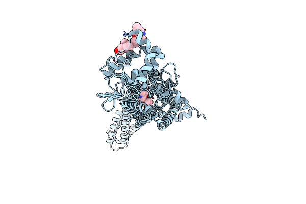 6D32 image