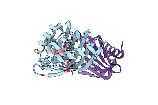 6D34 image