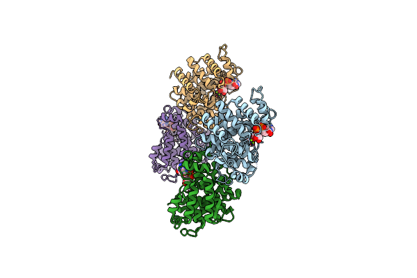 6D36 image
